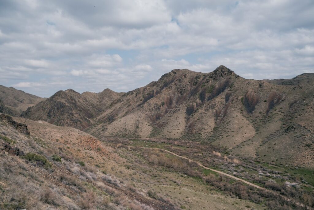 Kazakhstan Pétroglyphes Montagne