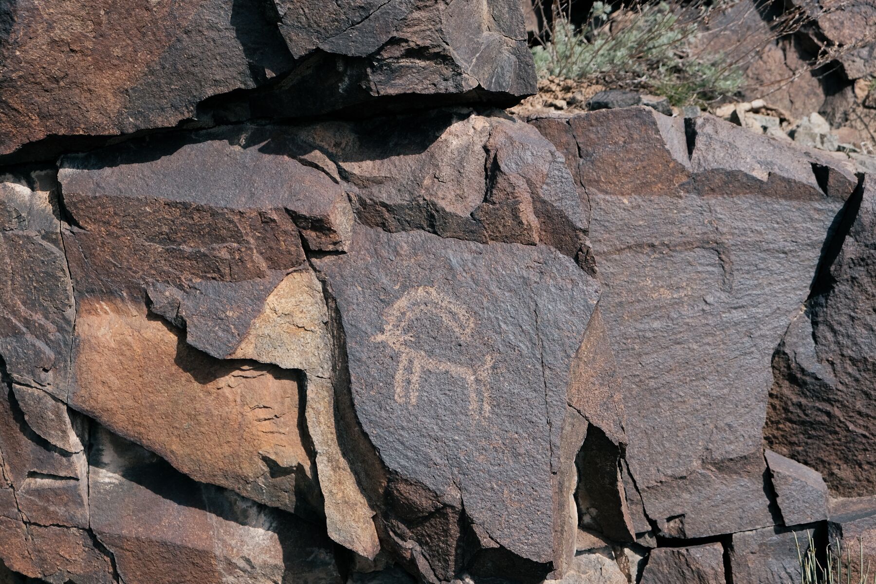 Kazakhstan Pétroglyphes