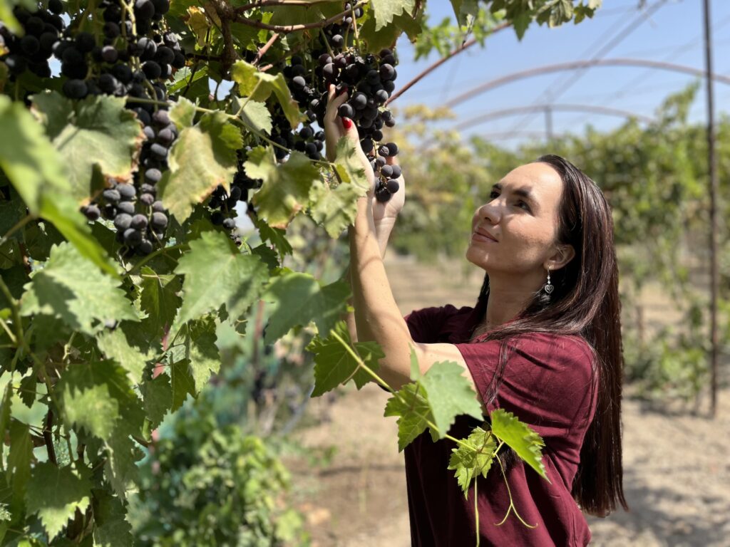 Kamila Akhunova dans le vignoble de la propriété familiale, située à quelques kilomètres de Tachkent (Ouzbékistan). © Louise Simondet