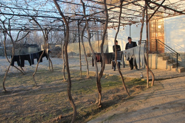 vignes khalmion kirghizstan crépuscule