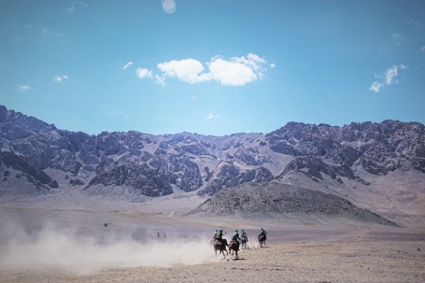 Tadjikistan Minorité kirghize Cheval